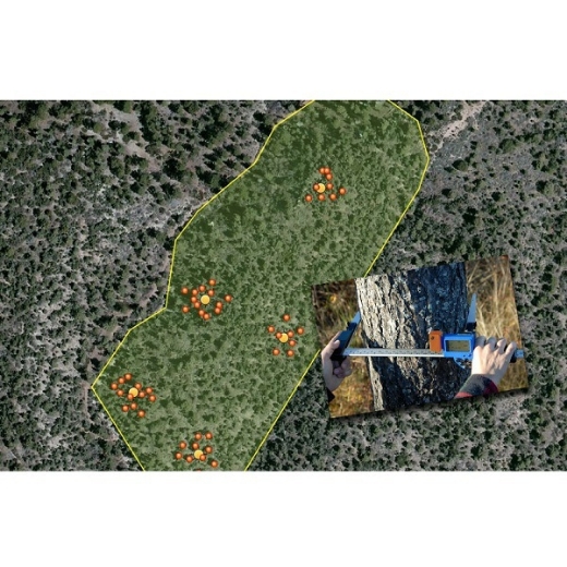 Haglöf DP II Dijital Bilgisayarlı Bluetoothlu ve Radio Enter Buttonlu Çap Ölçer 800 mm resmi