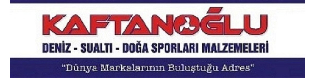 Bayi_logo