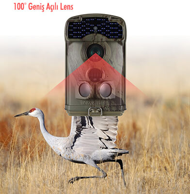 Acorn LTL-6310WMG Fotokapan