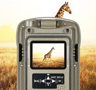 Acorn LTL-6310WMG Fotokapan